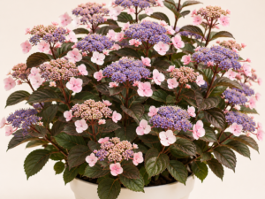 Hydrangea Hot Chocolate